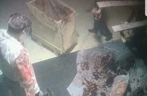 Kaşoqi belə  doğranılıb - ŞOK FOTOLAR+VİDEO