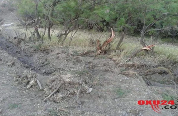 Kolları məhv edən şəxs 32 min manat cərimələnib