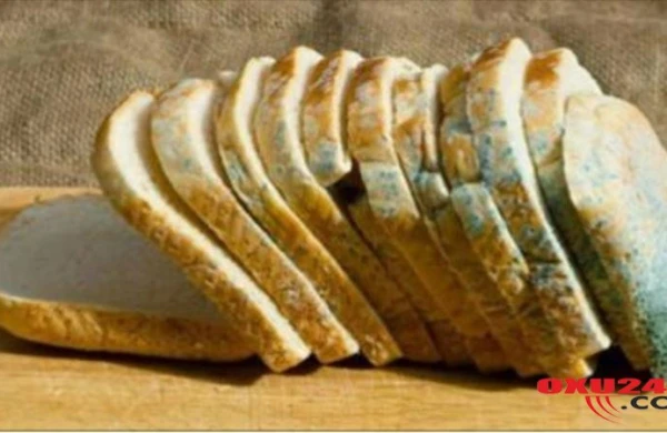 Məşhur həkim çörəklə bağlı DƏHŞƏTLİ FAKTLARI AÇDI: qana keçir və...