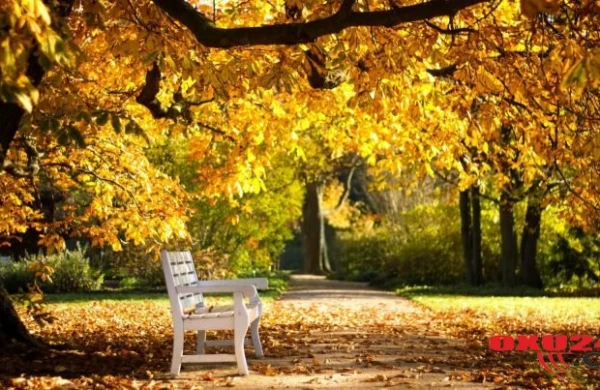 İstirahət günlərində səyahətə çıxanlar üçün hava proqnozu