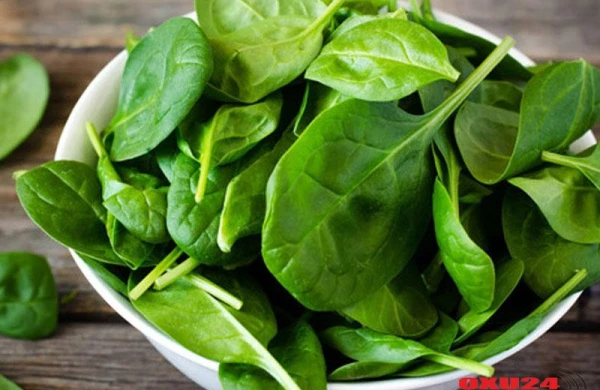 "Mədənin süpürgəsi" - Faydasını saymaqla bitmir