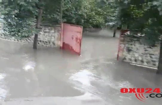 Güclü yağış Zaqatalada selə səbəb olub – FOTO