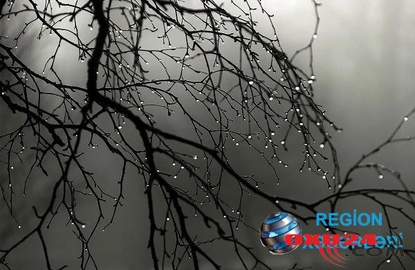 Sabah hava necə olacaq? - PROQNOZ