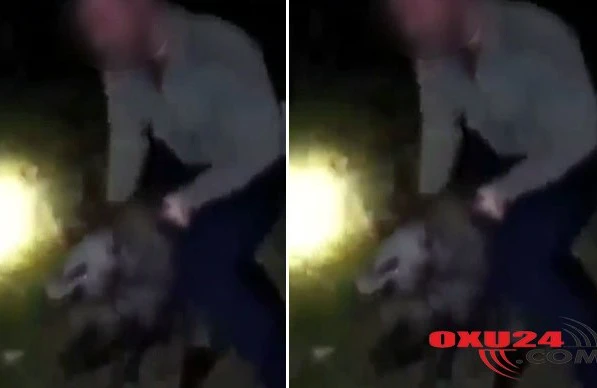 Gəncin  donuza  qarşı  etdiyi  iyrənc  hərəkət  olay  yaratdı +VİDEO