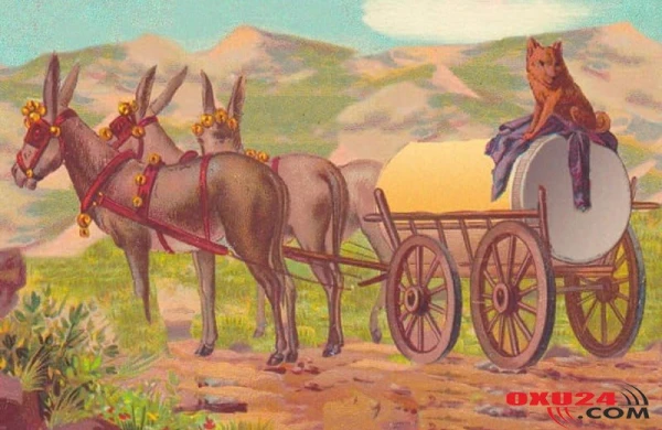 Fotoda insan üzünü tap - 10 ildir bu testi həll edən tapılmır