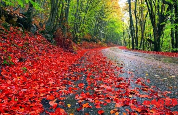 İstirahət günlərinin hava proqnozu açıqlandı