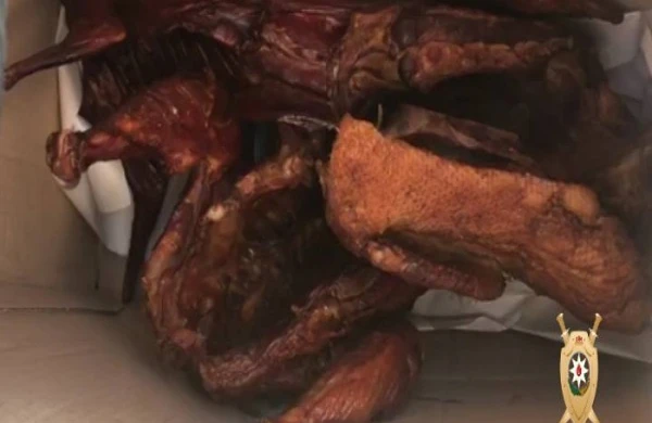 Bakıda insanları zəhərləyən obyekt aşkar edildi - FOTOLAR