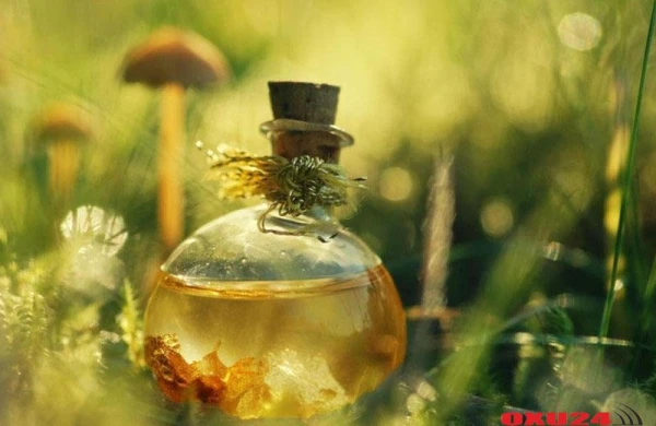 Baş ağrıları üçün sınanılmış məlhəm resepti - Ağrını dərhal kəsir