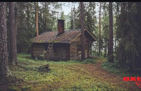 Bu fotoda ayını görürsünüzmü? - Görməni yaxşılaşdıran test