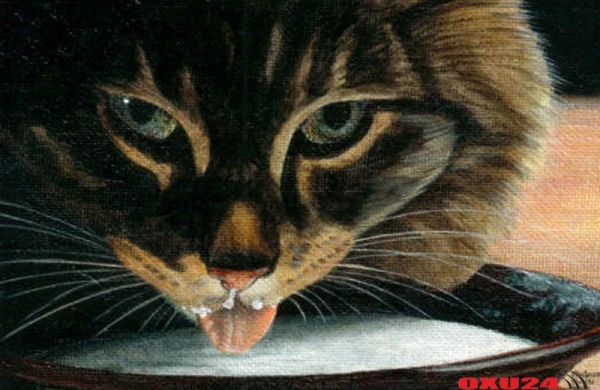 Peyğəmbərin pişikləri həddən artıq sevməsi həqiqətə uyğundurmu?