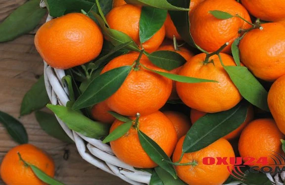 İmmuniteti gücləndirir, xərçəng riskini azaldır — NARİNGİNİN BİLİNMƏYƏN FAYDALARI