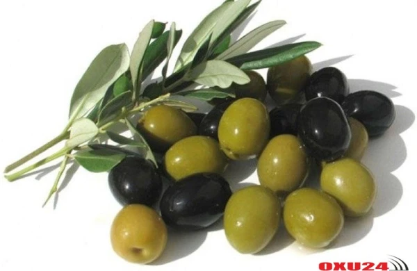 Bu bitki ana südünü də əvəz edir - Tərkibində unikal elementlər var