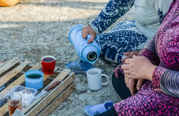 Yerdə bardaş qurub qidalananda orqanizmdə hansı proseslər gedir? - Təəccüblü faktlar