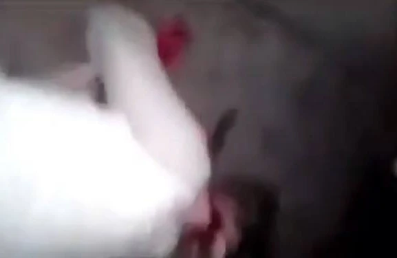 ŞOK! Ərəblər turist qızlarla intim münasibətdə olub, başını kəsdi (18+VİDEO)