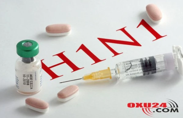 Qonşu ölkədə donuz qripi həyəcanı