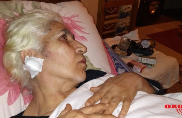 Məhkəmə Təranə Səmədova ilə bağlı qərar verdi