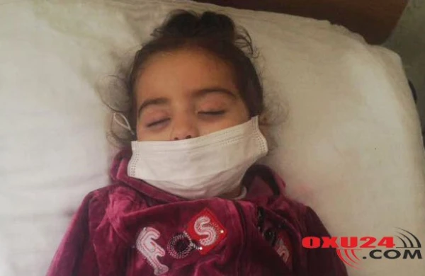 Şirkətlər təkzib edir, firmalar mal vermir: Siqaret niyə bahalaşıb?