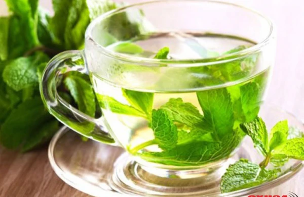 5 təbii ağrıkəsici