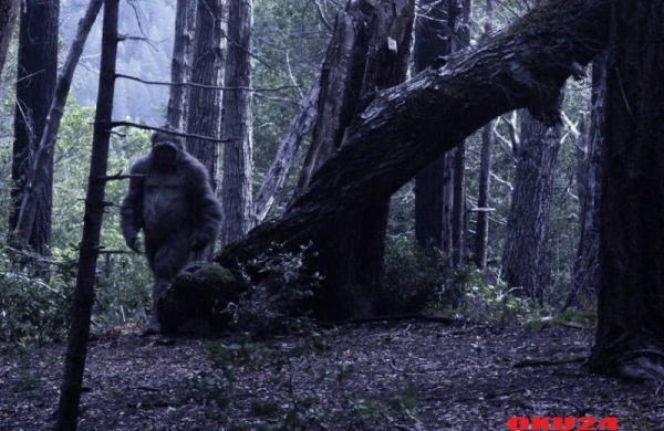 Azərbaycanda "qar adamı" axtaran rusiyalı alim: Onlar yadplanetli mənşəlidirlər - FOTO