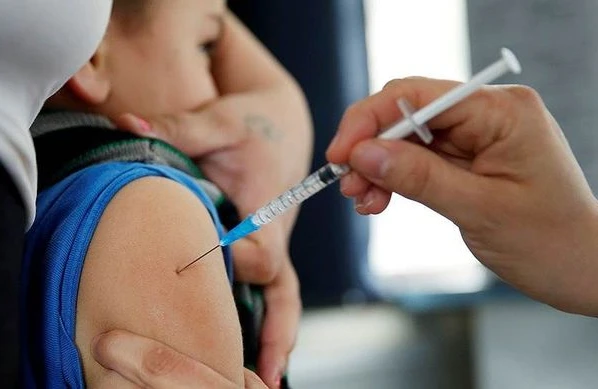 Gürcüstan "donuz qripi" ilə üz-üzədir: Ölənlərin sayı durmadan artır, dərman tapılmır