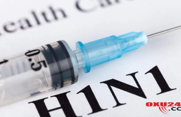 Donuz qripinə yoluxmaq istəmirsinizsə... - Məşhur professordan VACİB XƏBƏRDARLIQ