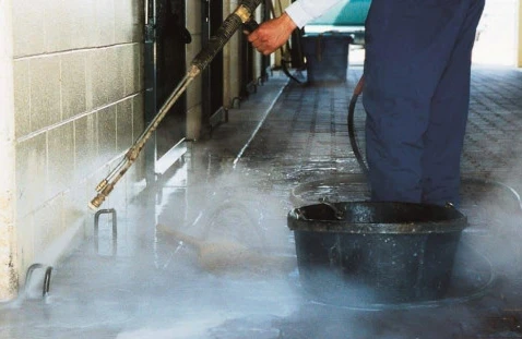 Bakıda “donuz qripi” fırıldaqçıları peyda olub - Əhaliyə xəbərdarlıq