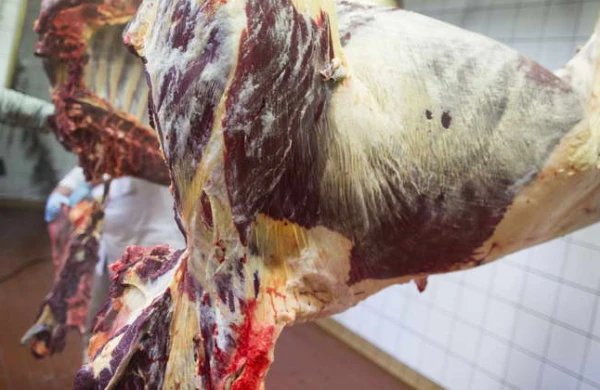 Hindistandan Azərbaycana üç manata ət gətirilir - ŞOK