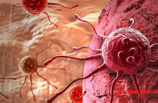 Xərçəngin yeni müalicəsi TAPILDI - Alimlər İNANILMAZI BACARDI