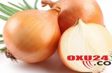 Agentlik ixracatçılara xəbərdarlıq etdi: Soğanın mənşəyinə diqqət yetirin