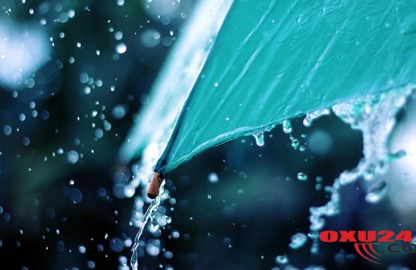 Qoyununun südü azalınca şübhələndi: Tövlədə növbə çəkdi və... / FOTOLAR