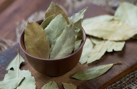 Dəfnə yarpağının bu xüsusiyyətləri də var imiş... — Ucuz və sınanmış 6 RESEPT