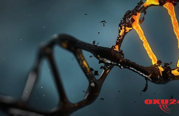 Tibb tarixində İNQİLAB - Xərçəng xəstələri TAMAMİLƏ SAĞALACAQ?