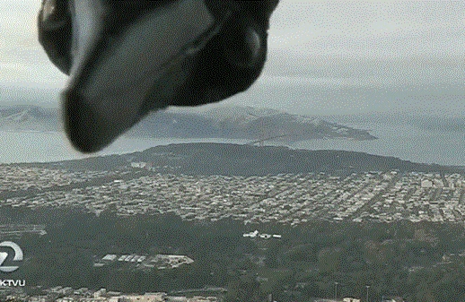 Canlı yayımda GÖZLƏNİLMƏZ QONAQ - Veriliş dayandı