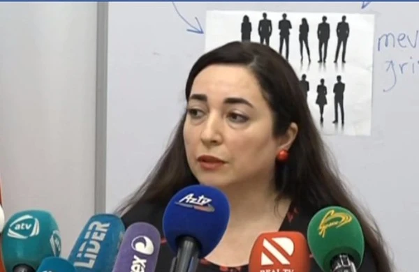 "Ölkədə H1N1 virusu ilə bağlı cəmi bir laborotoriya var" - RƏSMİ