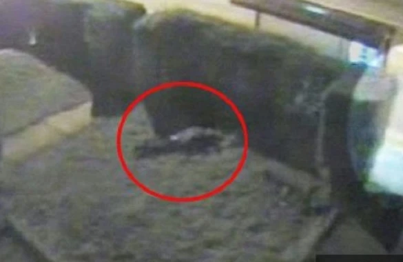 Dəhşətli anlar kamerada!Dayanacaqda dayanan azyaşlı qız zorlandı