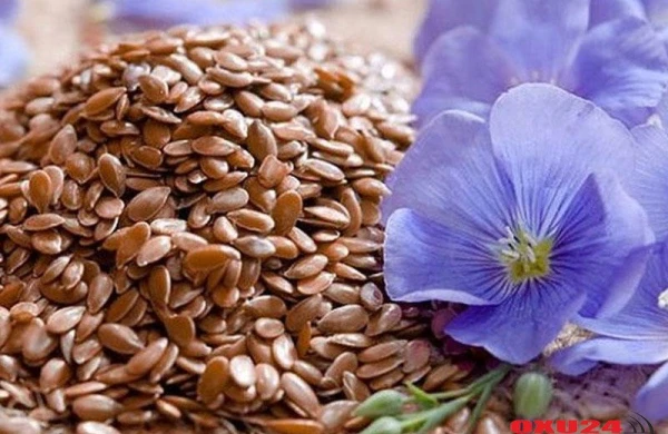 Kətan toxumu çeynəməyin 3 möcüzəvi təsiri – Bir çox orqanları bərpa edir