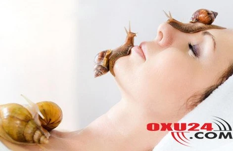 Dərinin “ən bahalı kremi”: üzdə gəzən ilbizlər