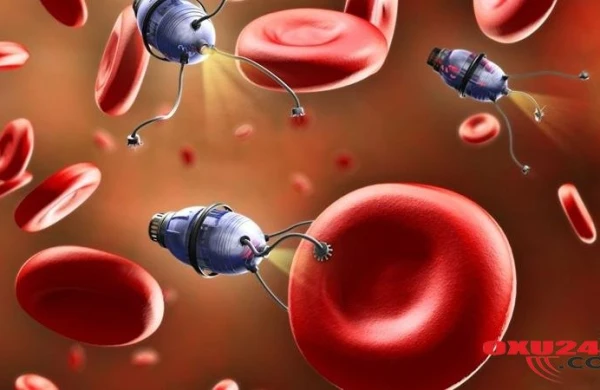 Məşhur alim xərçəngin əsl səbəbini açıqladı: "Qışda badımcan və yumurta yesəniz..."