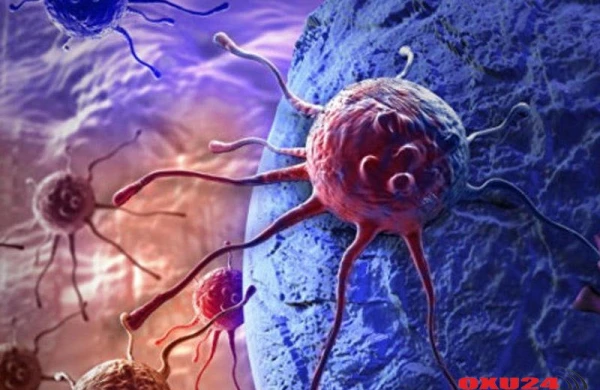 Məşhur alim xərçəngin əsl səbəbini açıqladı: Qışda badımcan və yumurta yesəniz...