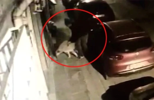 Hələ belə iyrənc hadisə olmamışdı