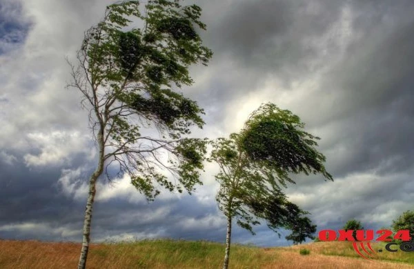 Hava şəraiti kəskin dəyişəcək, güclü külək əsəcək, yağış yağacaq
