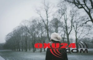 Maraqlı görüntülər qeydə alındı - Yadplanetli gəmisi?