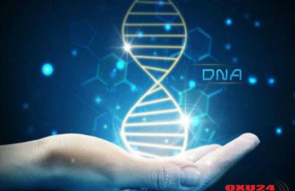 Gecə işi sağlamlığa təhlükəlidir - Alimlərdən xəbərdarlıq