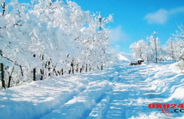 Azərbaycana kəskin soyuqlar gəlir, güclü yağış, qar yağacaq - Umayra Tağıyeva