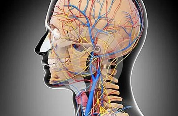 İnsult 1 ay öncədən gələcəyini belə xəbər verir – Bədənin 5 siqnalı