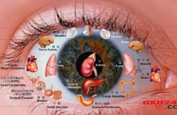Qaraciyər və gözləri möhkəmləndirən məhsullar