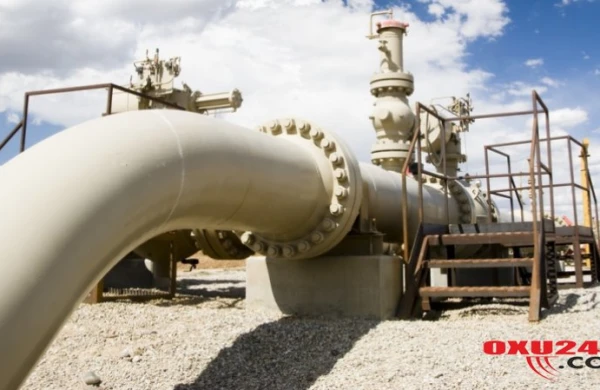 Gürcüstan Rusiya qazı xeyrinə Azərbaycandan imtina edirmi? – Açıqlama