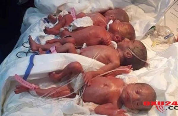 6 dərəcə şaxta, güclü külək olacaq - Sabahın HAVASI