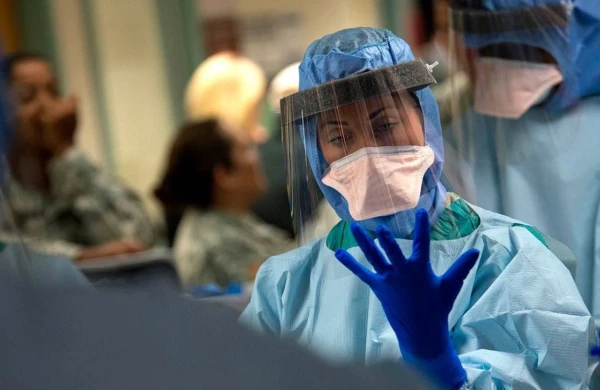 Qonşu ölkədə daha bir dəhşətli xəstəlik təhlükəsi - Siçovullardan keçir