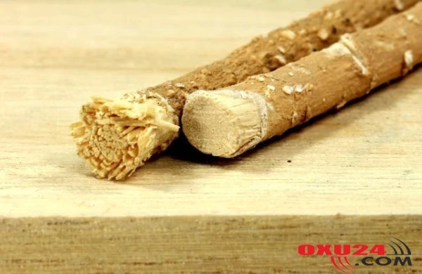 Peyğəmbərimizin tövsiyəsi olan misvakın — İNANILMAZ FAYDALARI